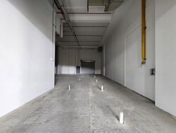 Ct Foodnex (D25), Factory #526398561